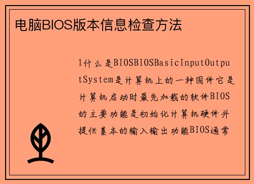 电脑BIOS版本信息检查方法